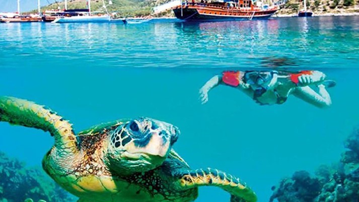 Türkiye’nin en iyi dalış noktaları